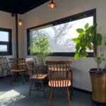 20451
