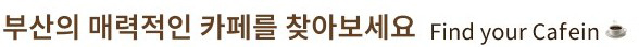 검색창 이미지